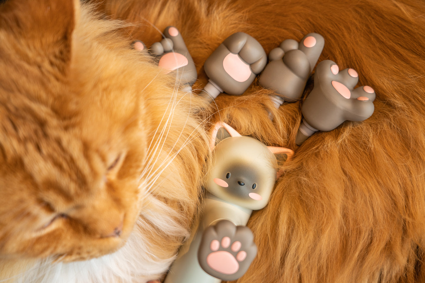 Cute Cat | | EIR X beoka(ACECOOL)